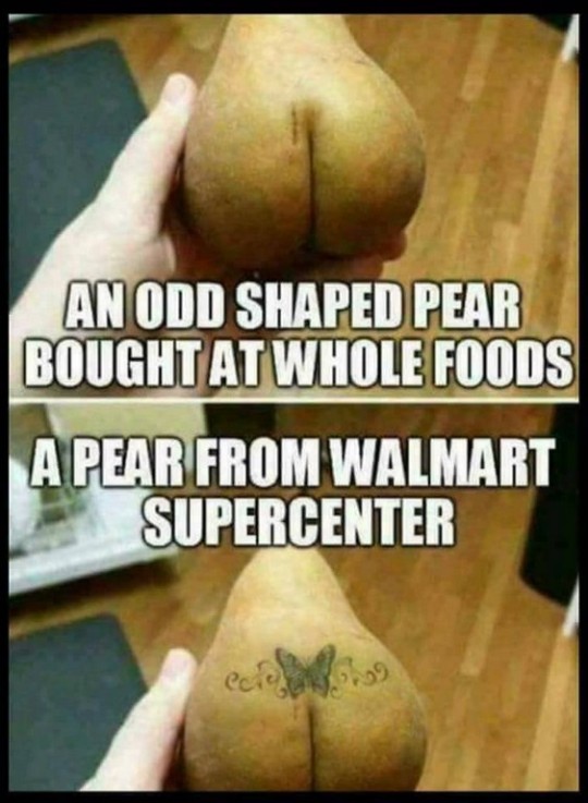 tumblr_pitkydHDPh1qhi5qbo1_540.jpg