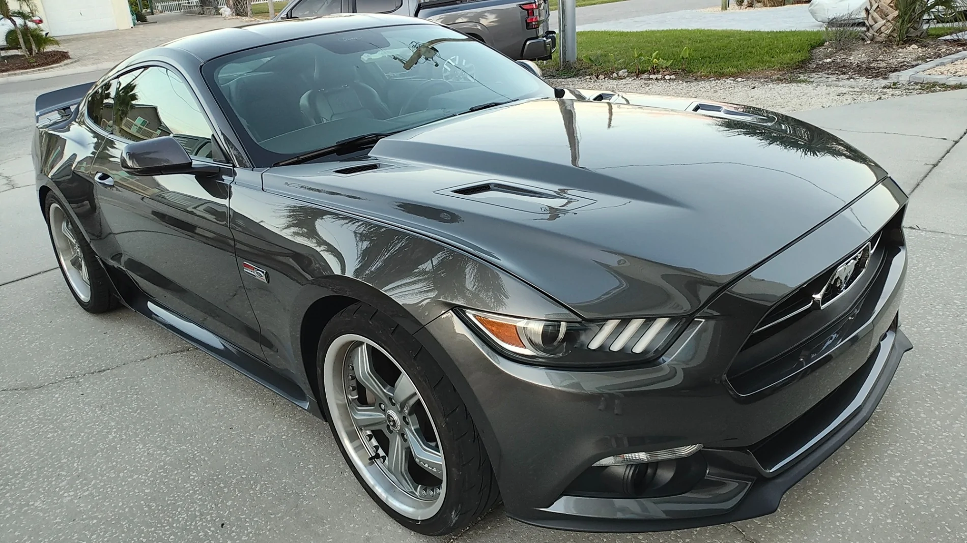 Stang-new hood.webp