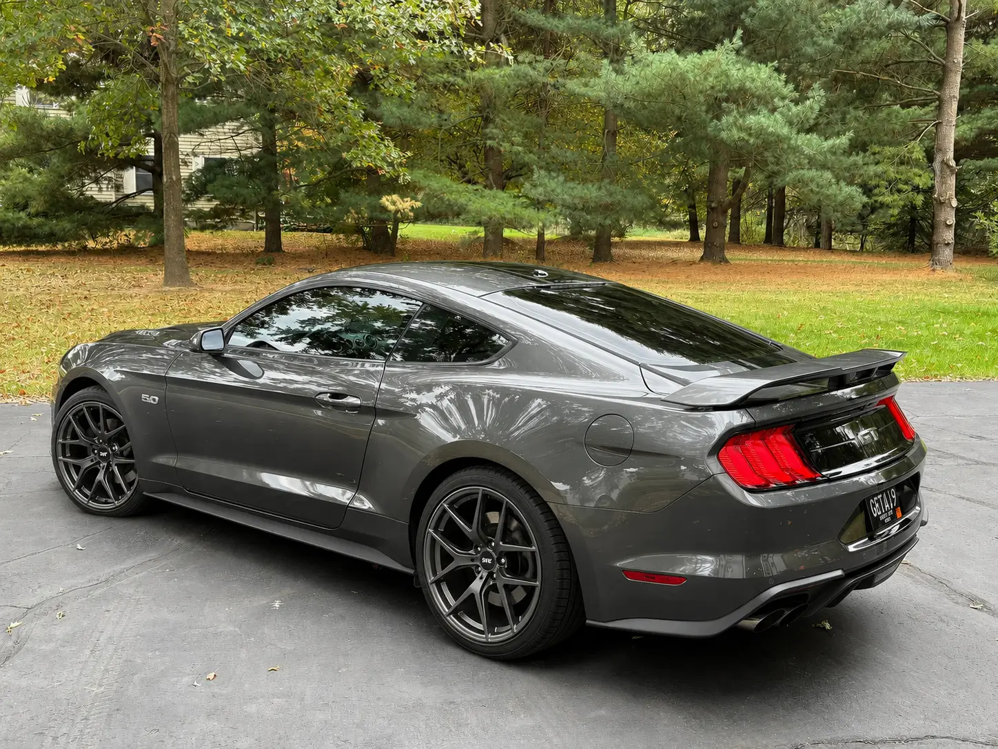 magnetic mustang sve wheels.webp