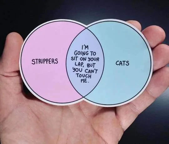 cats and strippers, venn diagram.webp