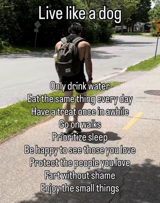 2425dd6646ef956ca626c1ff1f3681028c7898f7.jpg