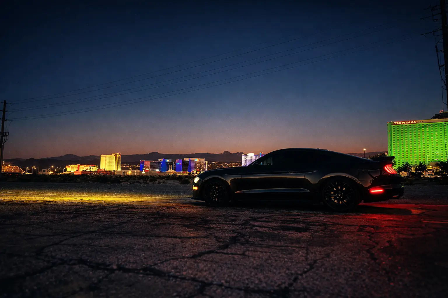 Stang3.webp