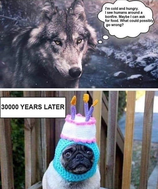 tumblr_pvclebScdG1rir0h2o1_540.jpg
