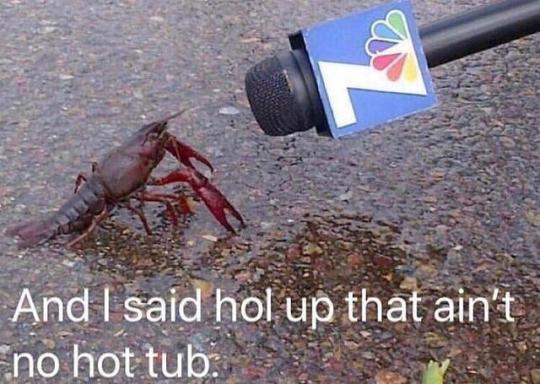 tumblr_pwq1a0yay21rir0h2o1_540.jpg