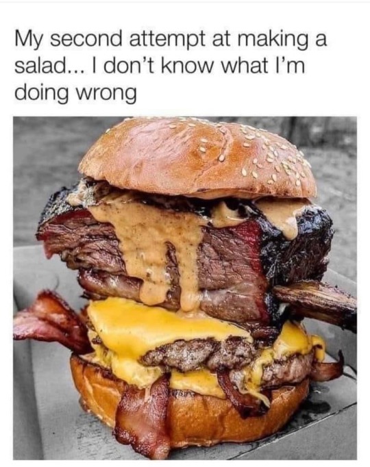 98d0326c30cc8f5672749ce5939f769ff544cb5b.jpg