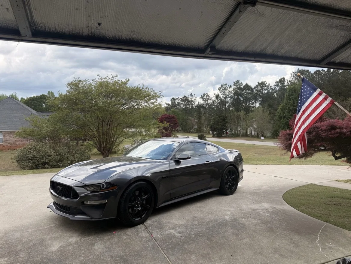 MUSTANG PROFILE.webp