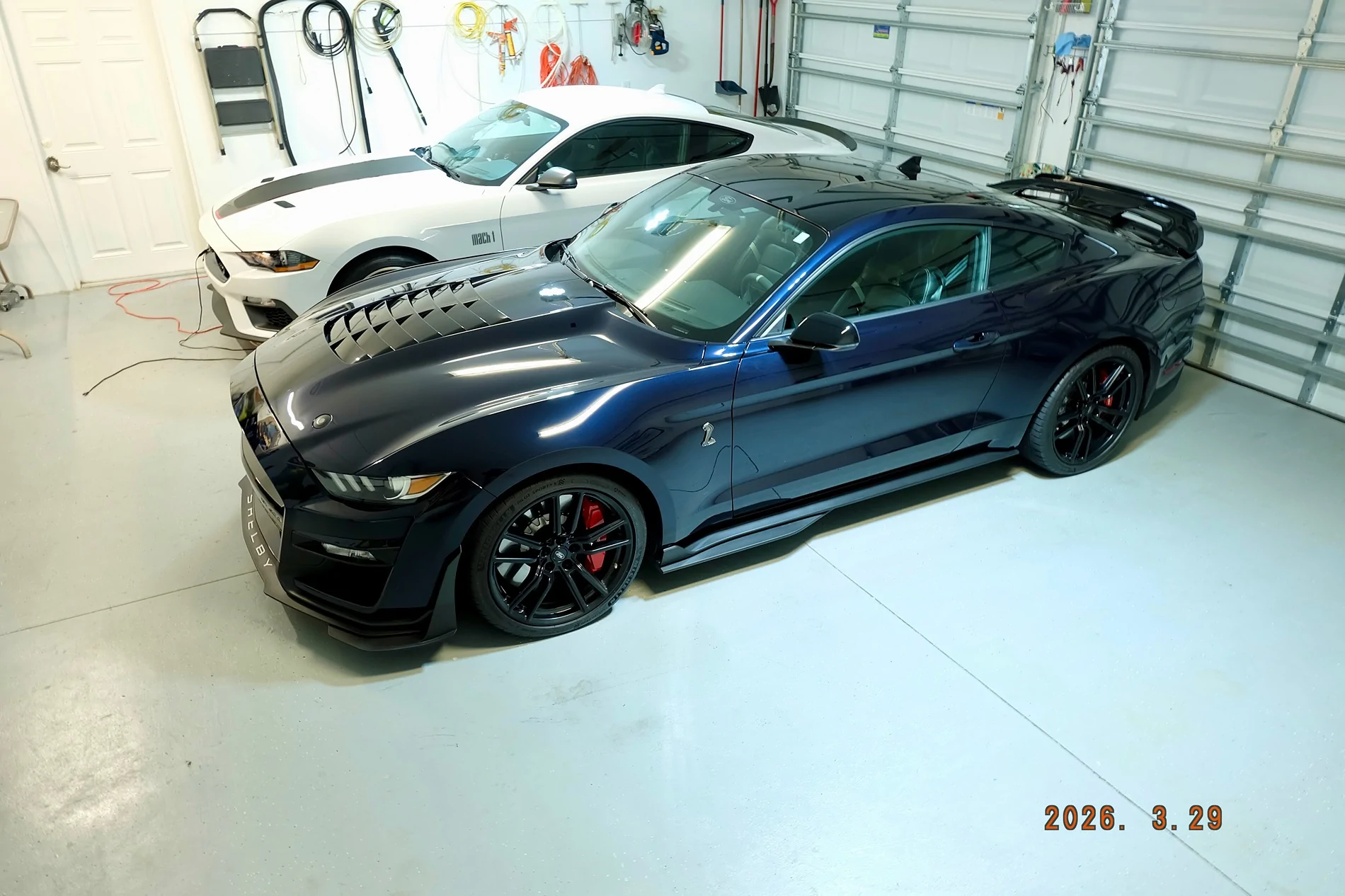 DSCF1693.webp