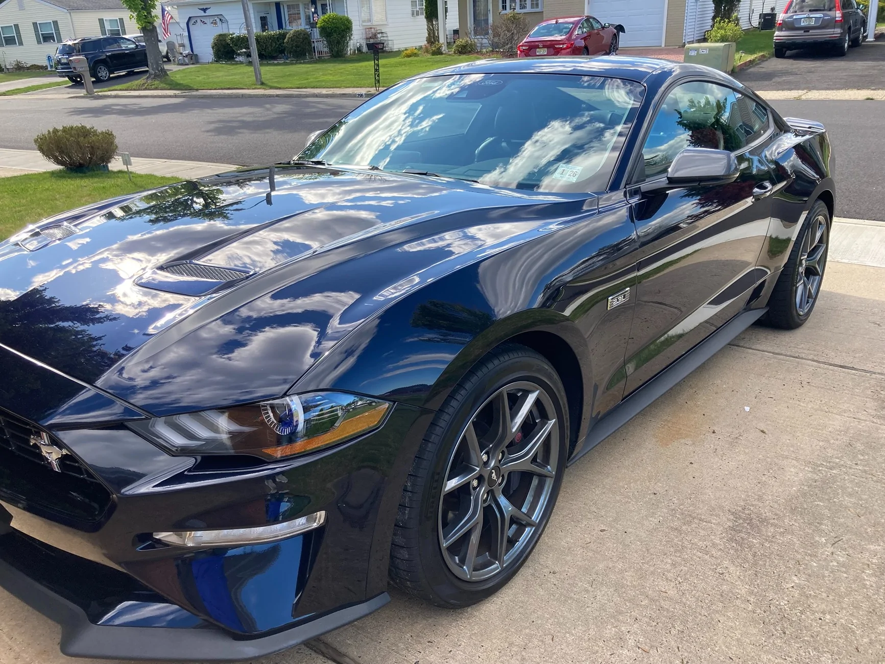 Mustang 3.webp