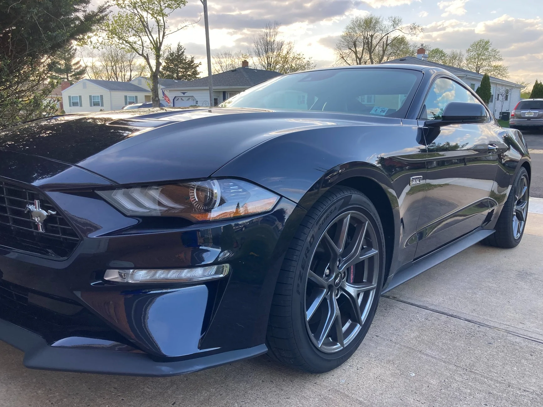 Mustang 4.webp