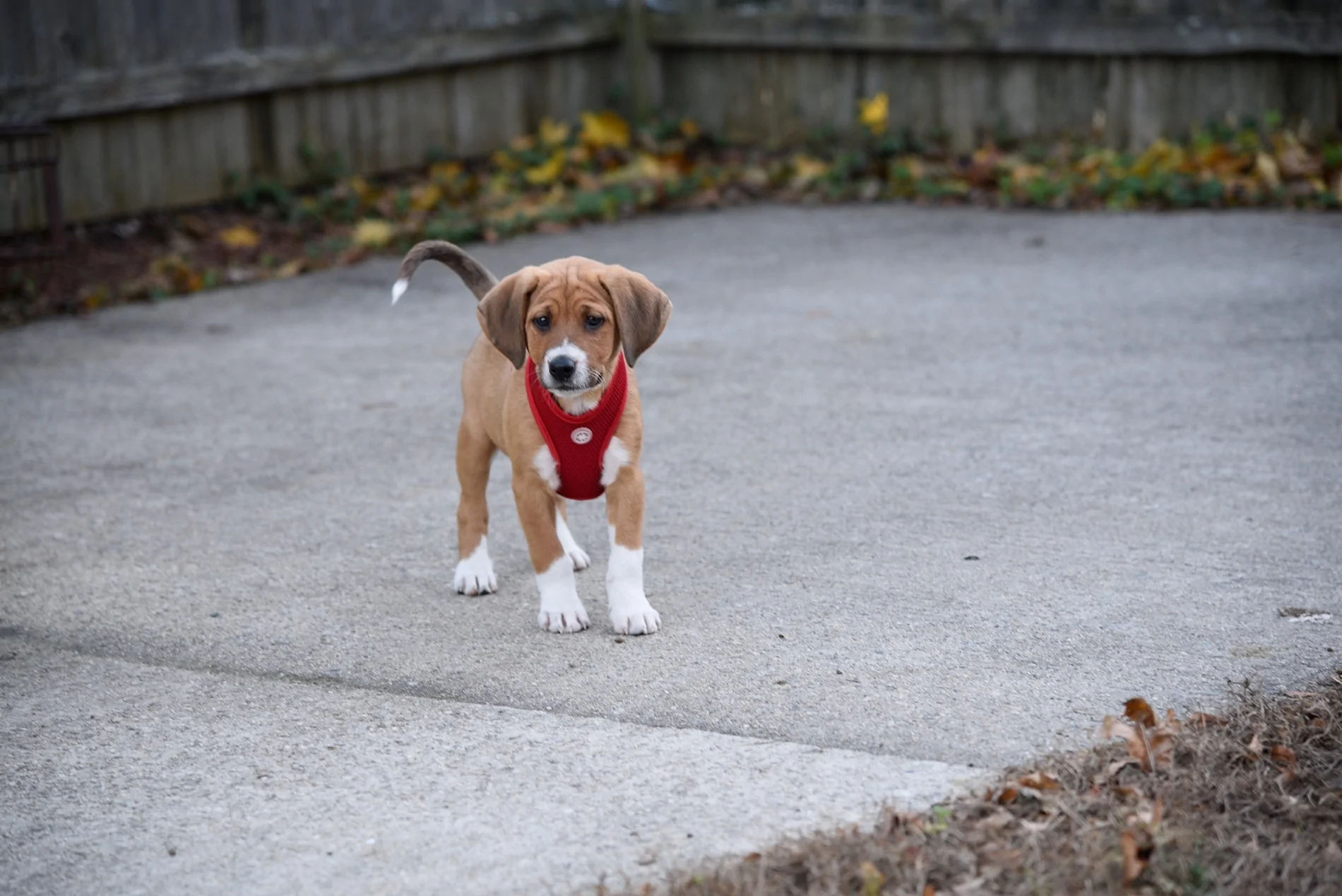 _DSC1481.webp