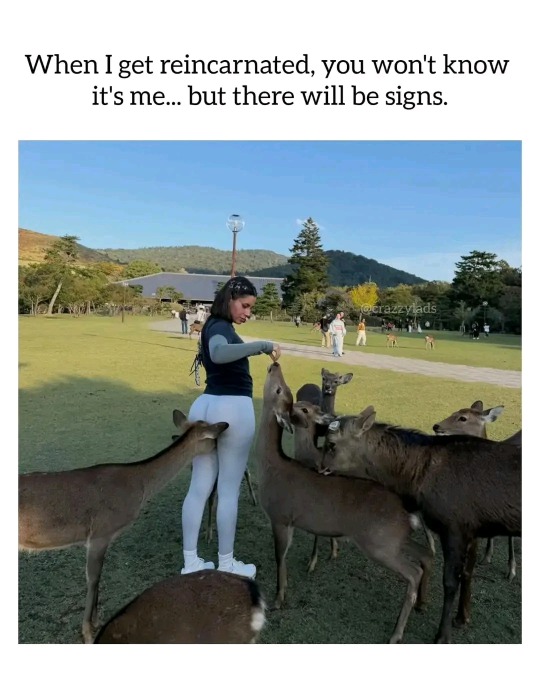 c7deae894600fd09901b24aa03666e64ec760e0b.jpg