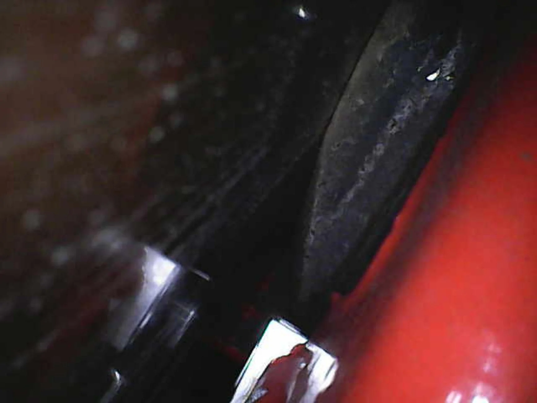 1000012007.webp