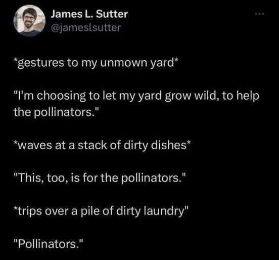 4teh pollinators.webp