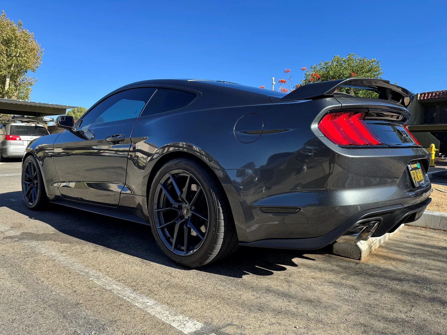 Stang33.webp
