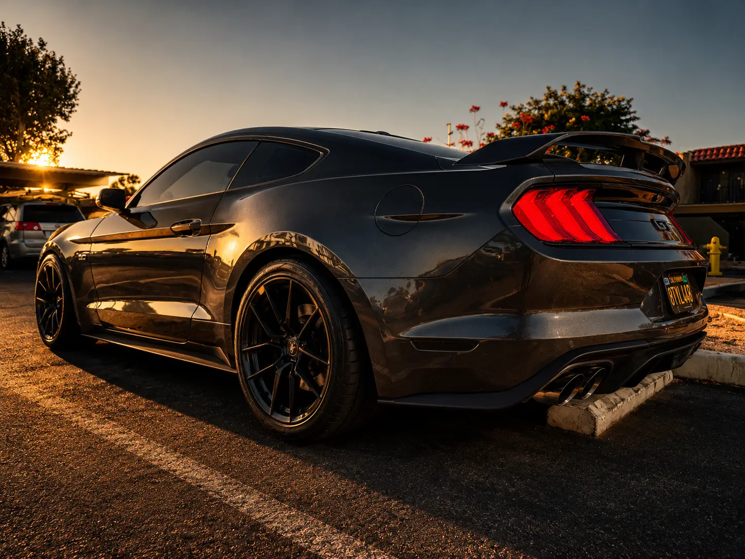 Stang28.webp
