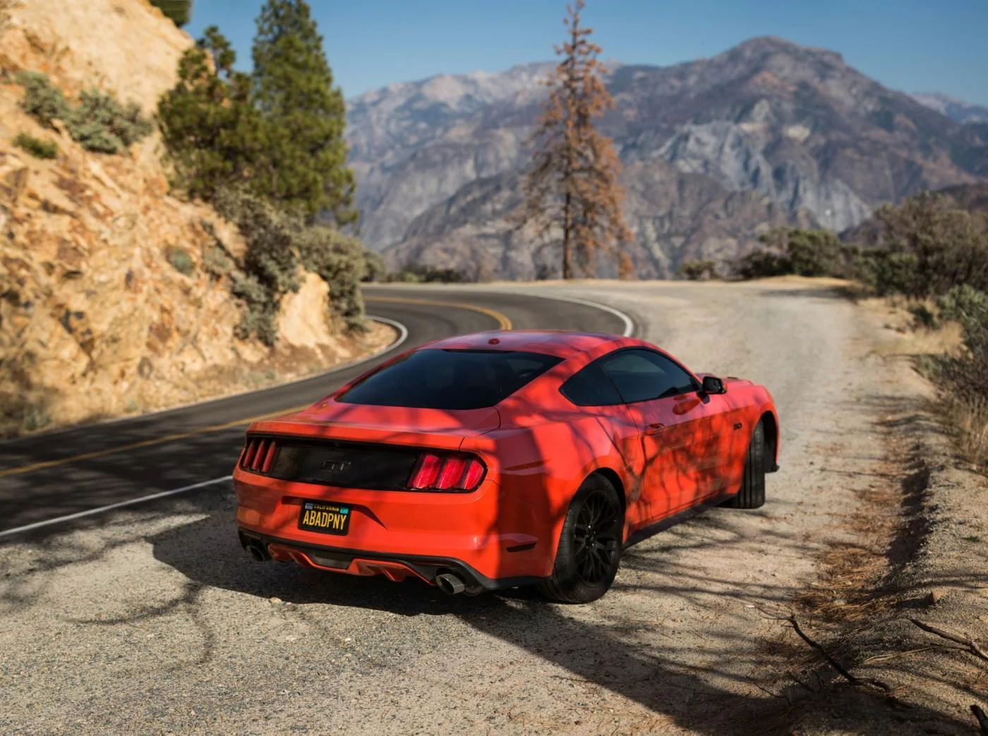 Mustang Pano 11-11-16.webp