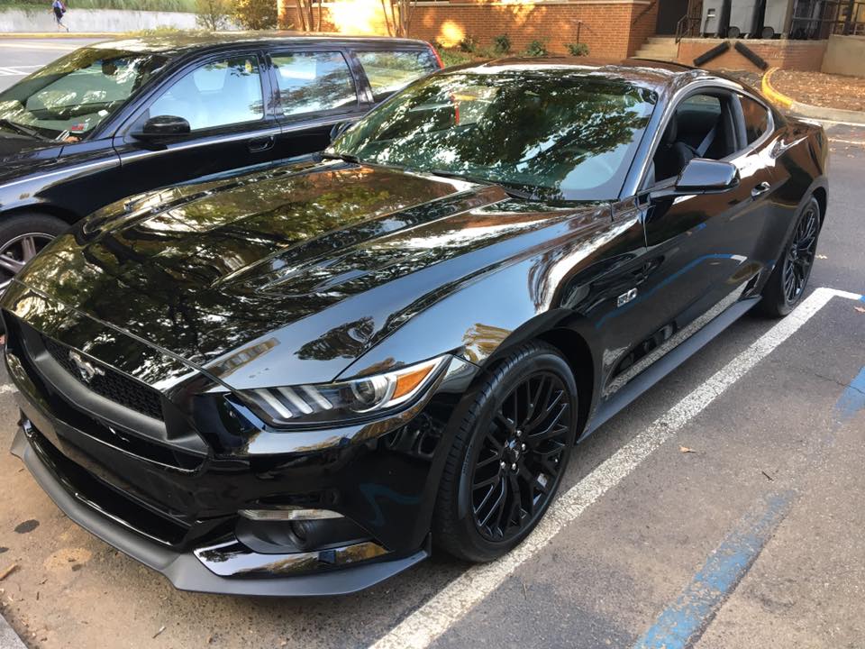 Mustang.jpg