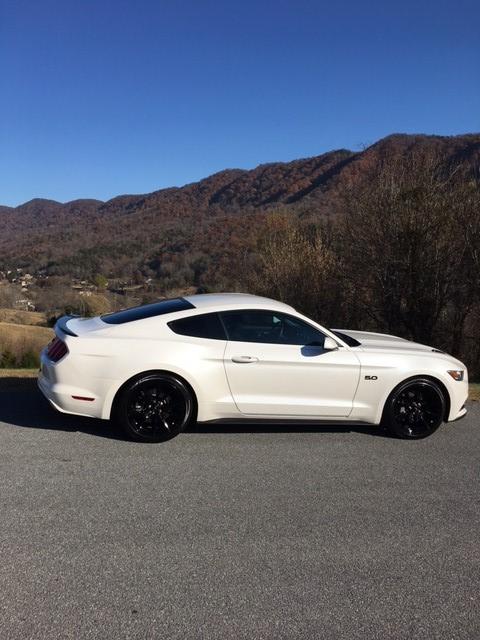 Mustang2.jpg