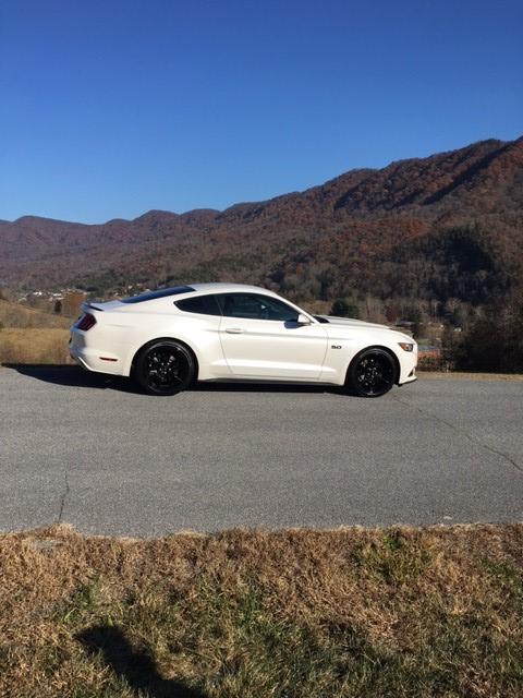 mustang3.jpg