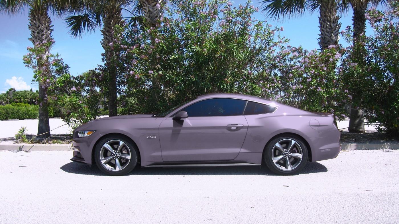gray.jpg
