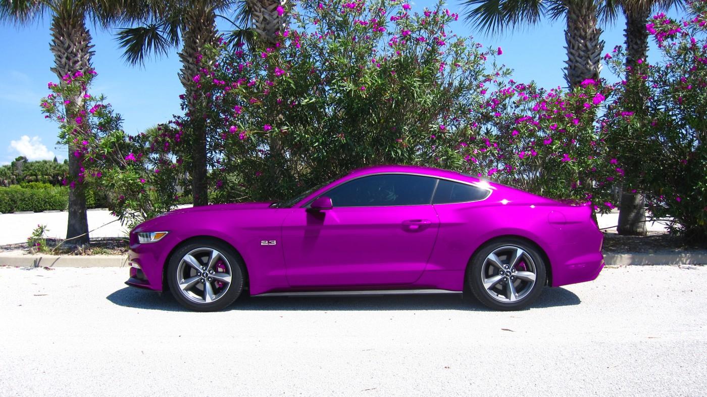 pink.jpg