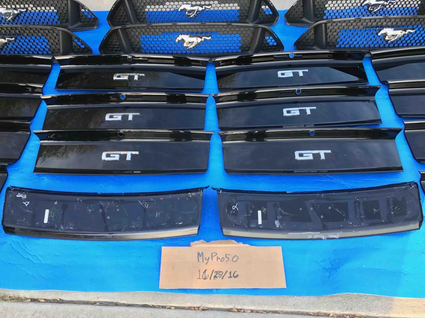 IMG_8737gg.webp