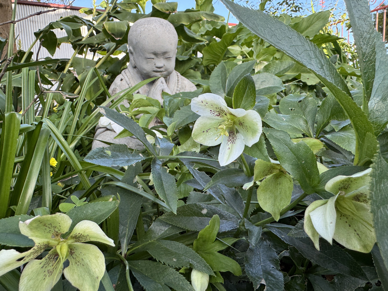 IMG-2655.jpg