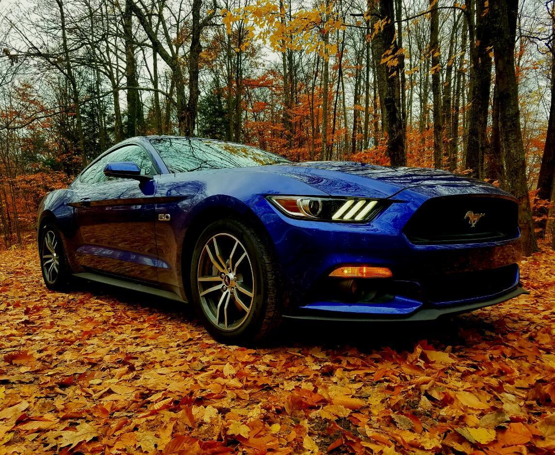 2016102995171204.jpg