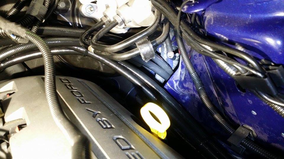 Lines to engine bay.jpg