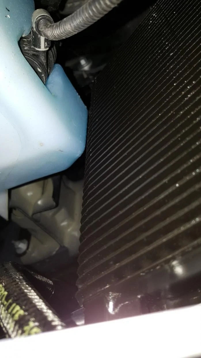 fluid clearance.webp