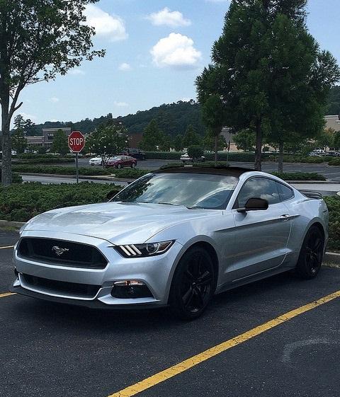 31193308231_e0fa9d1d49_z.jpg