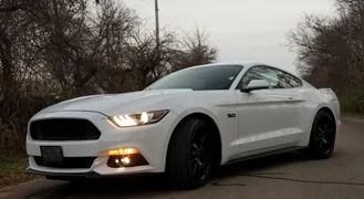2017gt1.webp