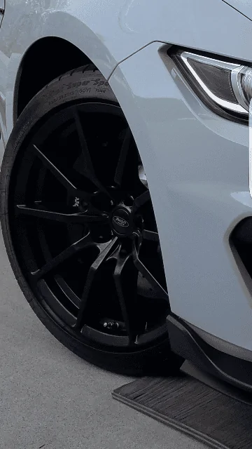 350wheel2.webp