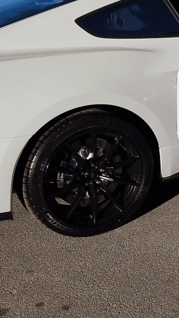 350wheel3.webp