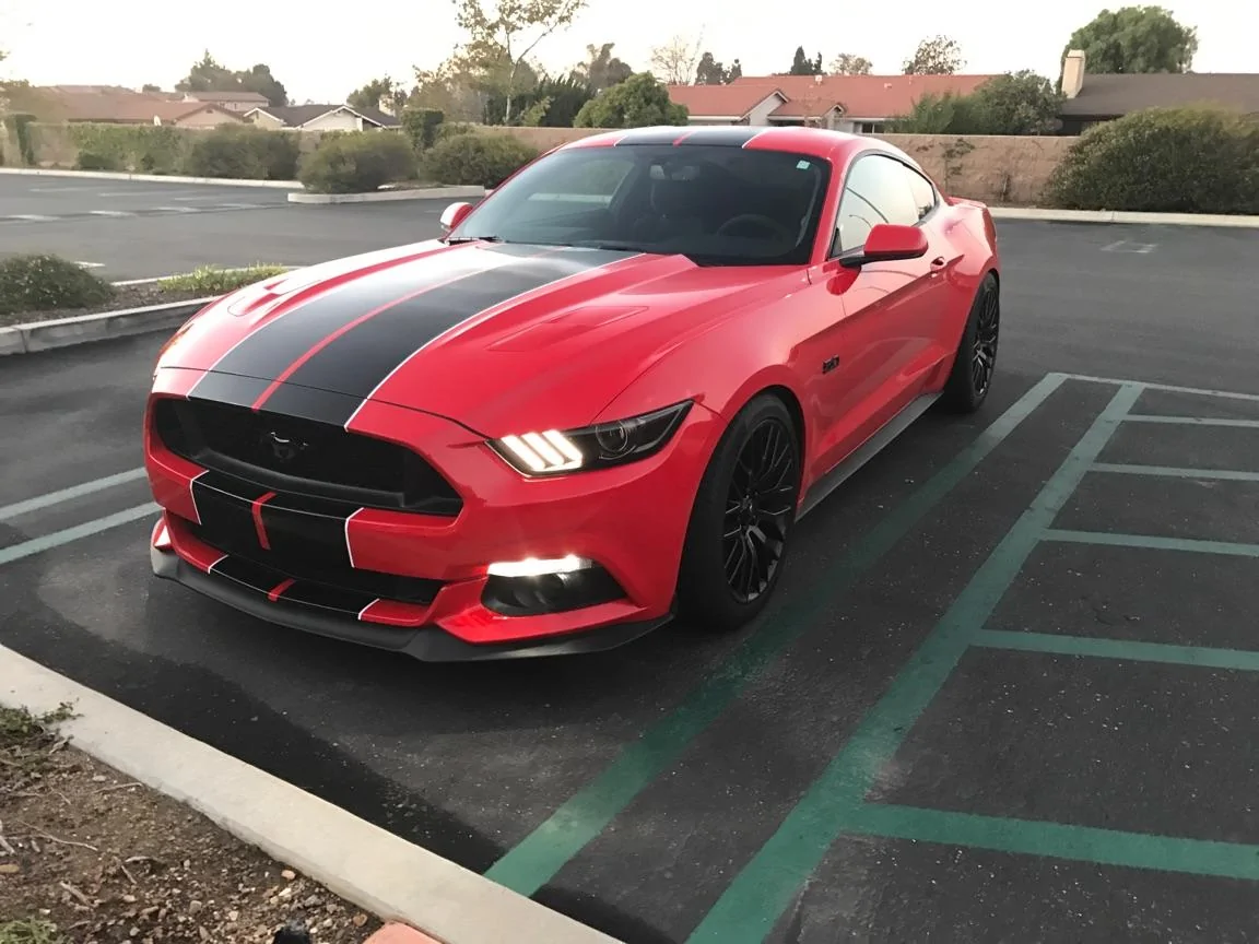 mustang1.webp