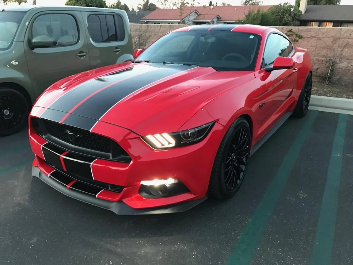 mustang3.webp