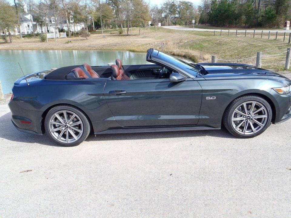 Rob's GT Vert.jpg