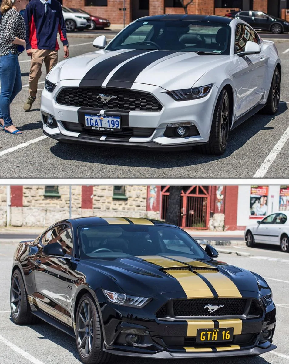 cars.webp