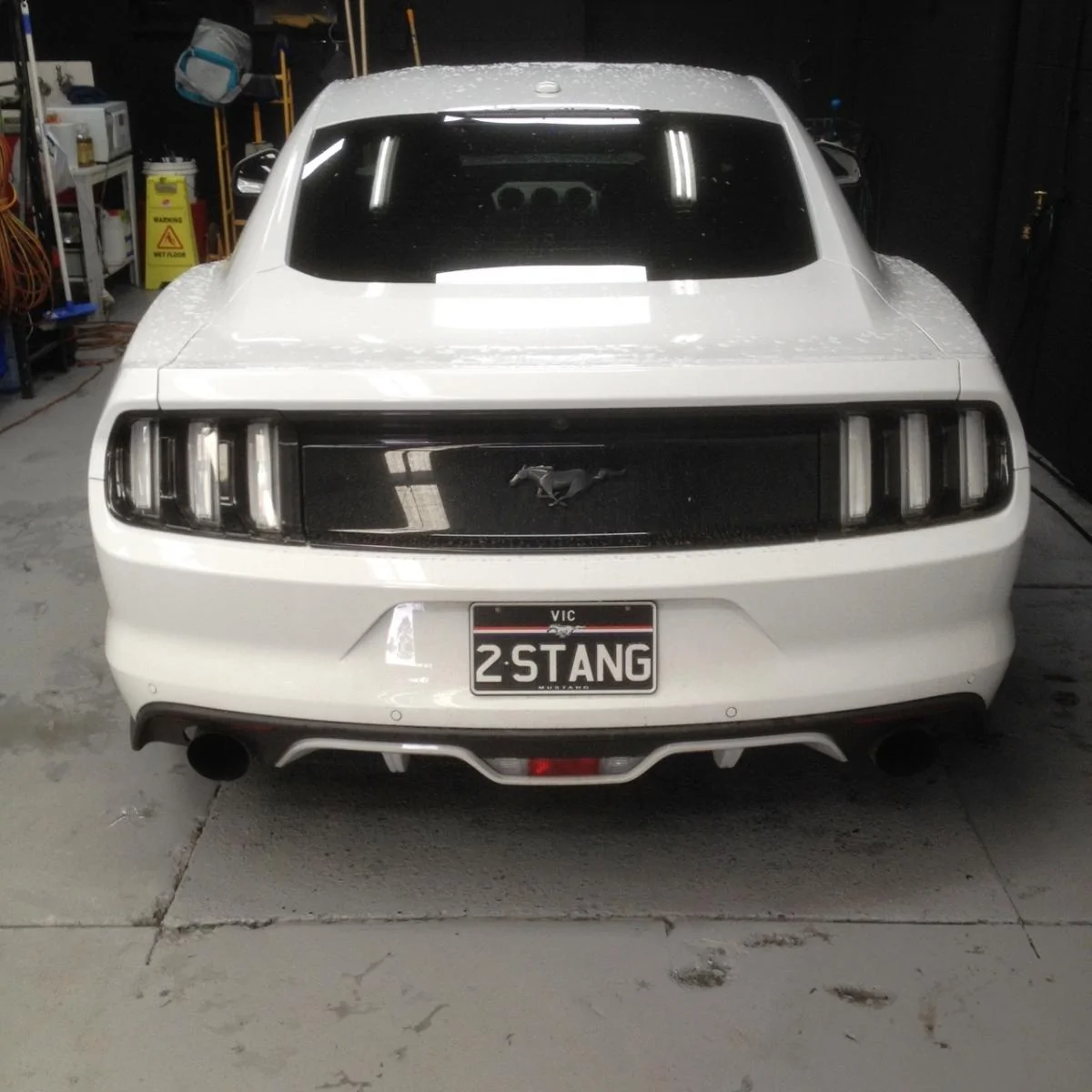 2stang.webp