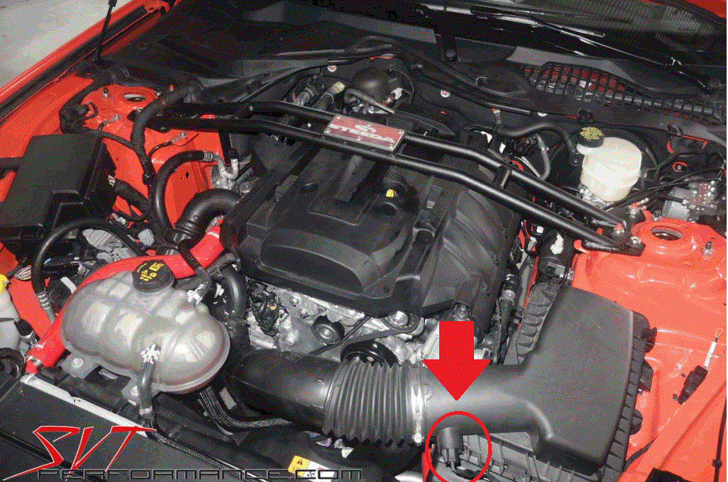 stock intake.gif