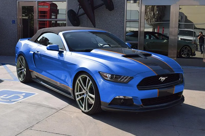 Gaurdsman Blue.webp