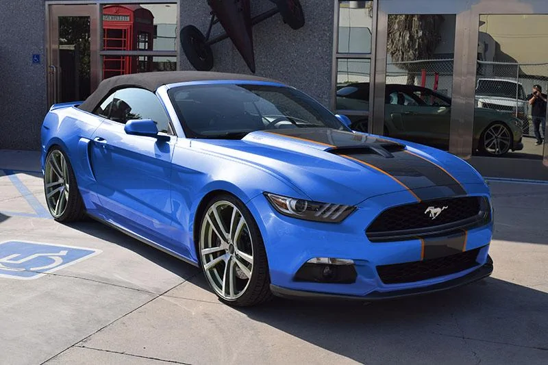 Gaurdsman Blue.webp