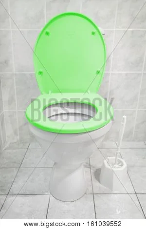 toilet_bowl_green_seat_modern_bathroom_homemade_cg1p61039552c.webp