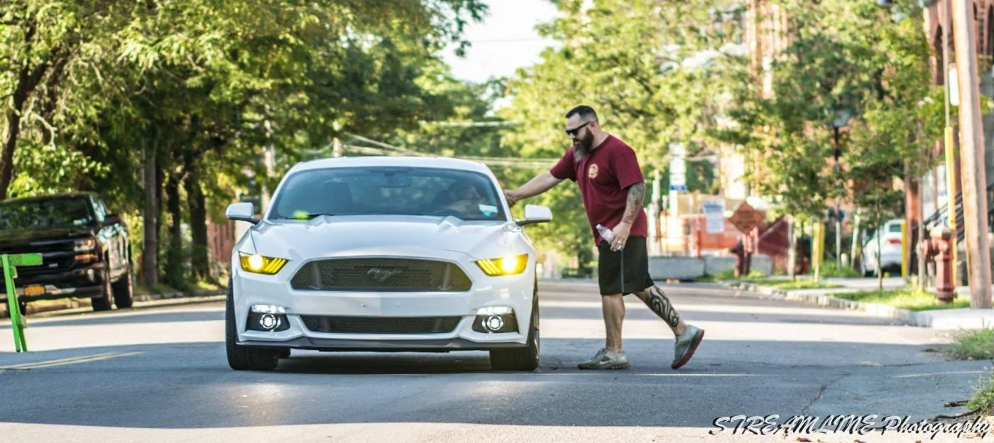 Mustang_6.webp
