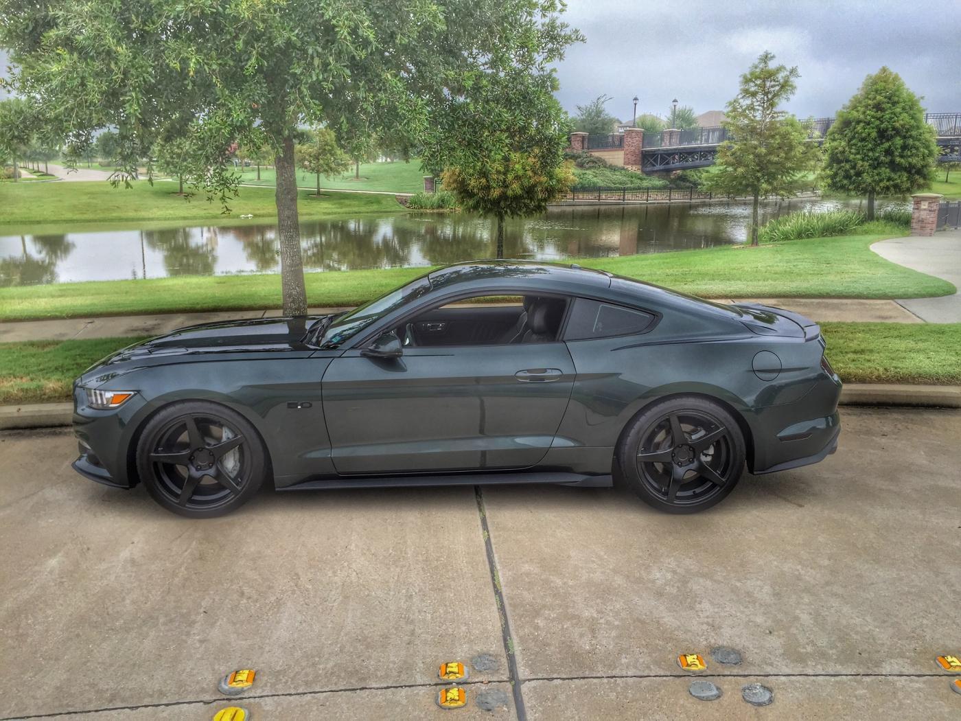 lowered11.jpg