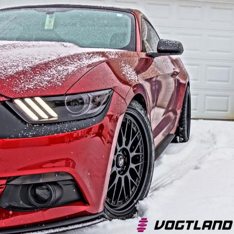 VOGTLAND MUSTANG XMAS PIC.jpg