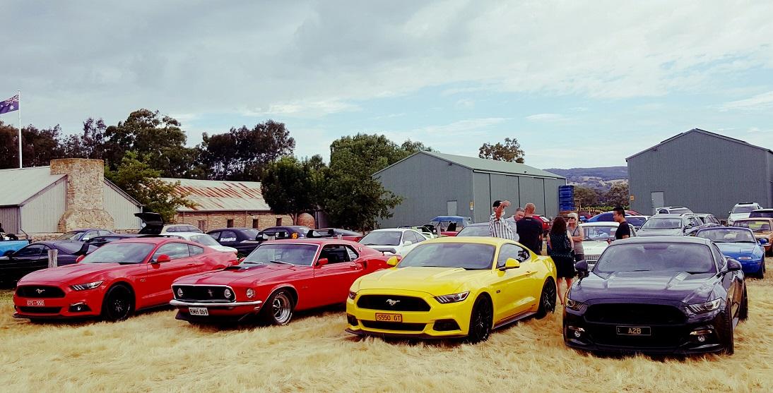 MustangMeet2.jpg