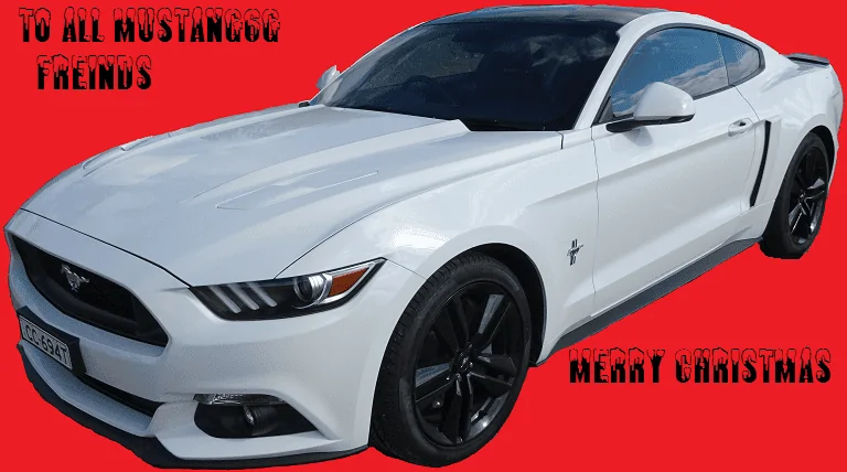 mustang.webp
