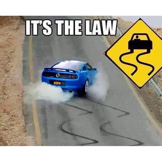 Best Law Ever.webp