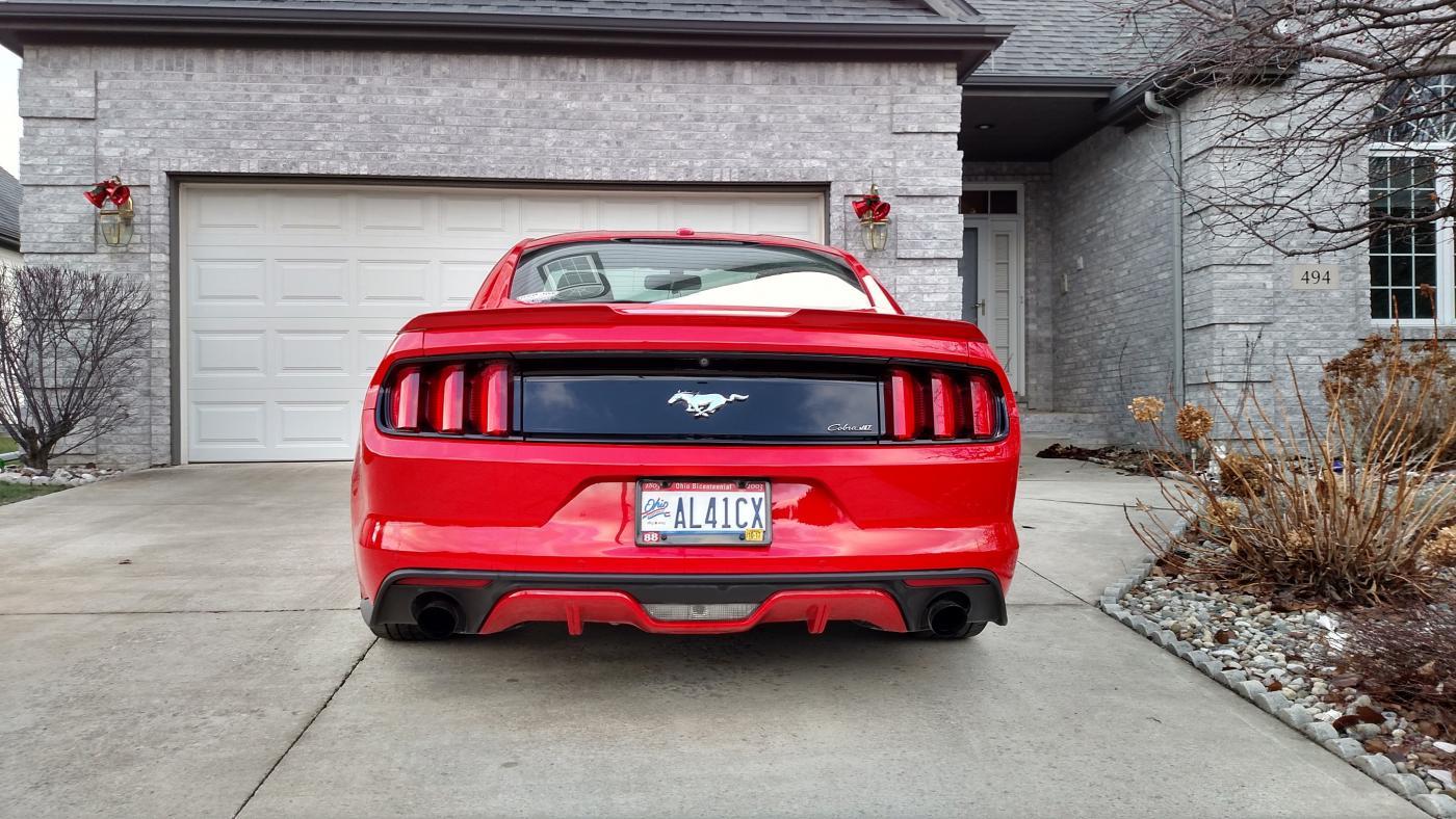 rearview.jpg